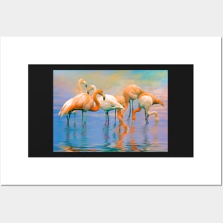 Caribbean Flamingos Posters and Art